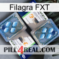 Filagra FXT viagra5